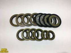 2.5 Ton Steer And Rear Seal Kit